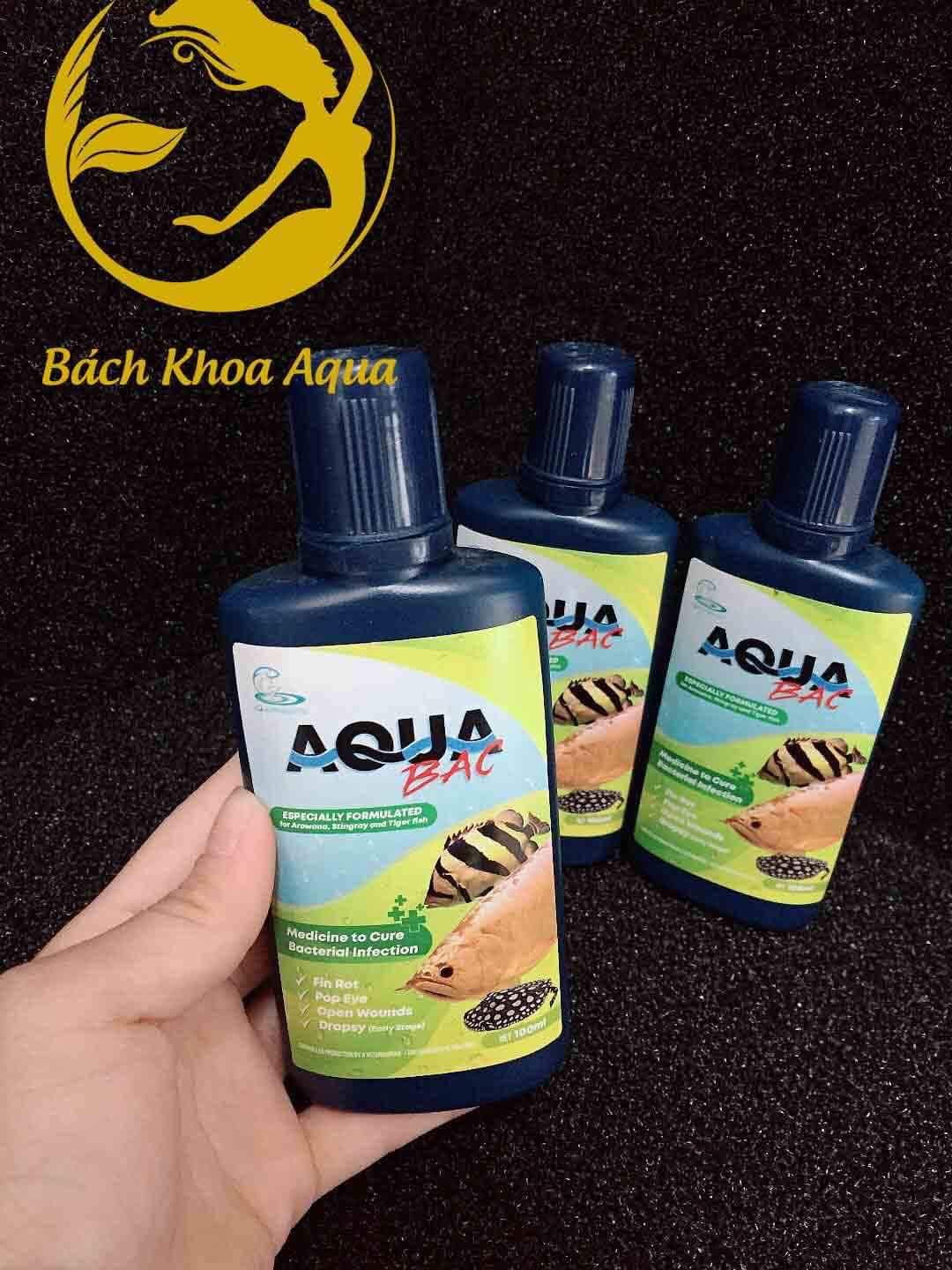 AQUA BẠC - Chuyên Trị Nấm và xù vảy cho cá