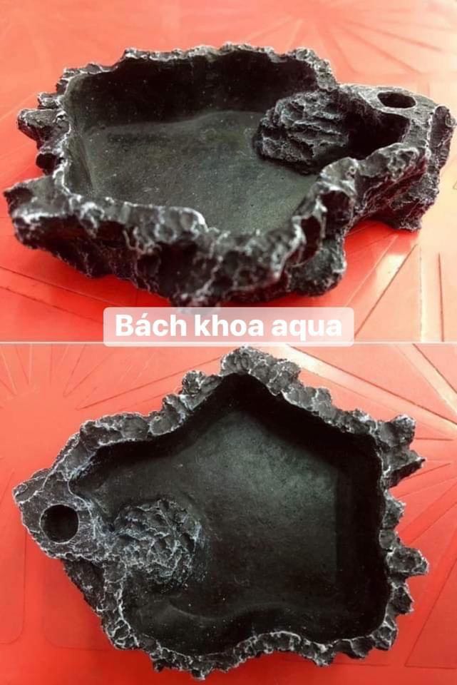 Chén đá cho cá tép ăn