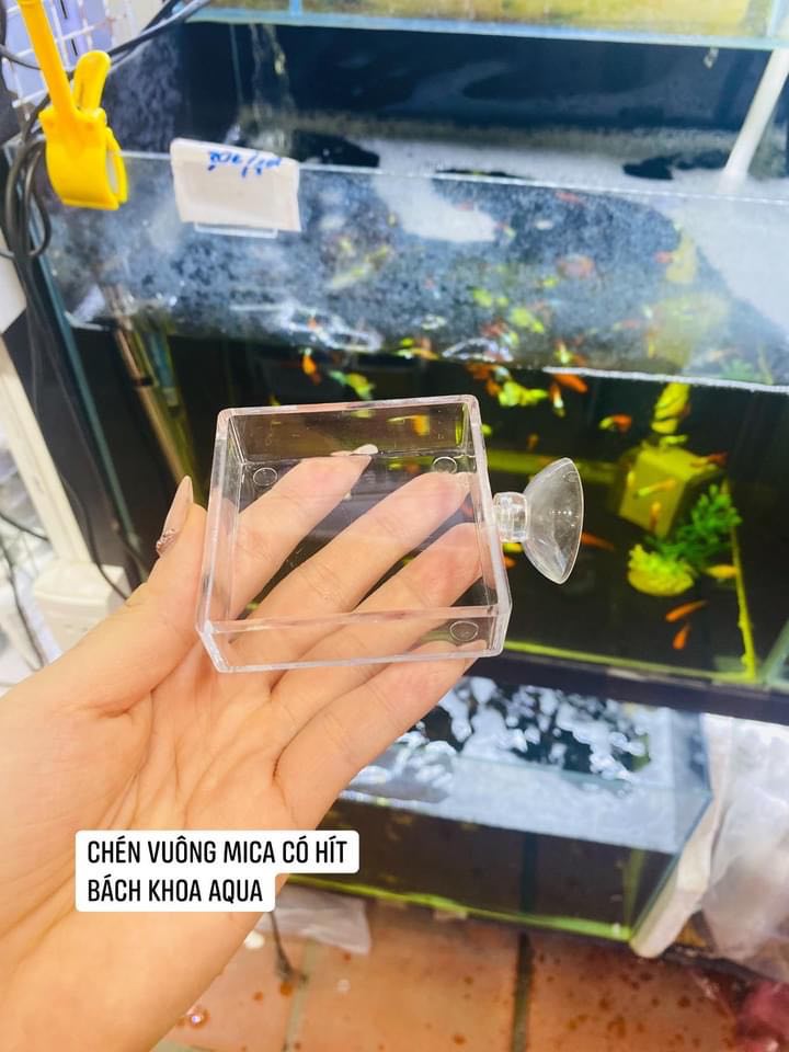 Chén mica trong suốt kèm hít đựng thức ăn cá tép