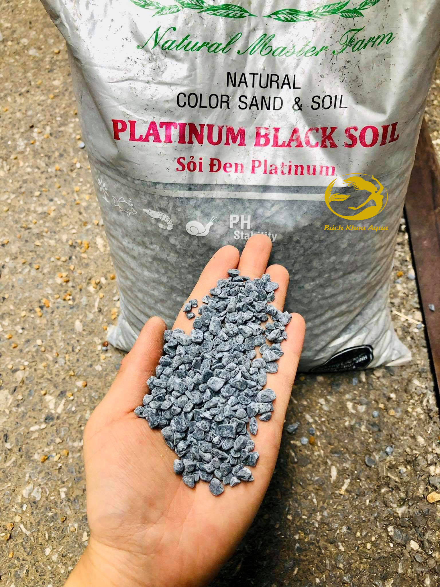 ( N.M.F ) Sỏi Đen Platinum