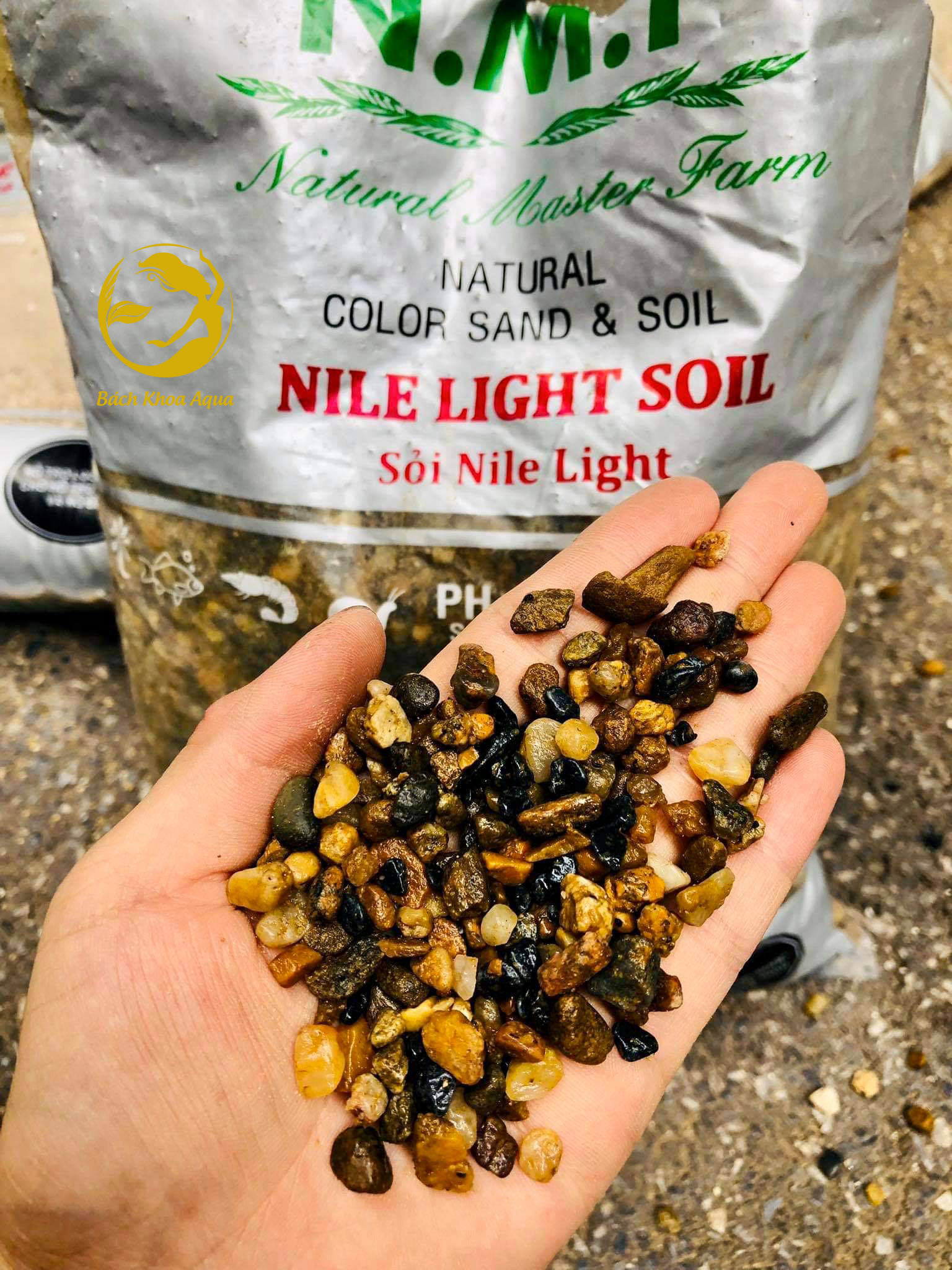 ( N.M.F ) Sỏi Nile Light