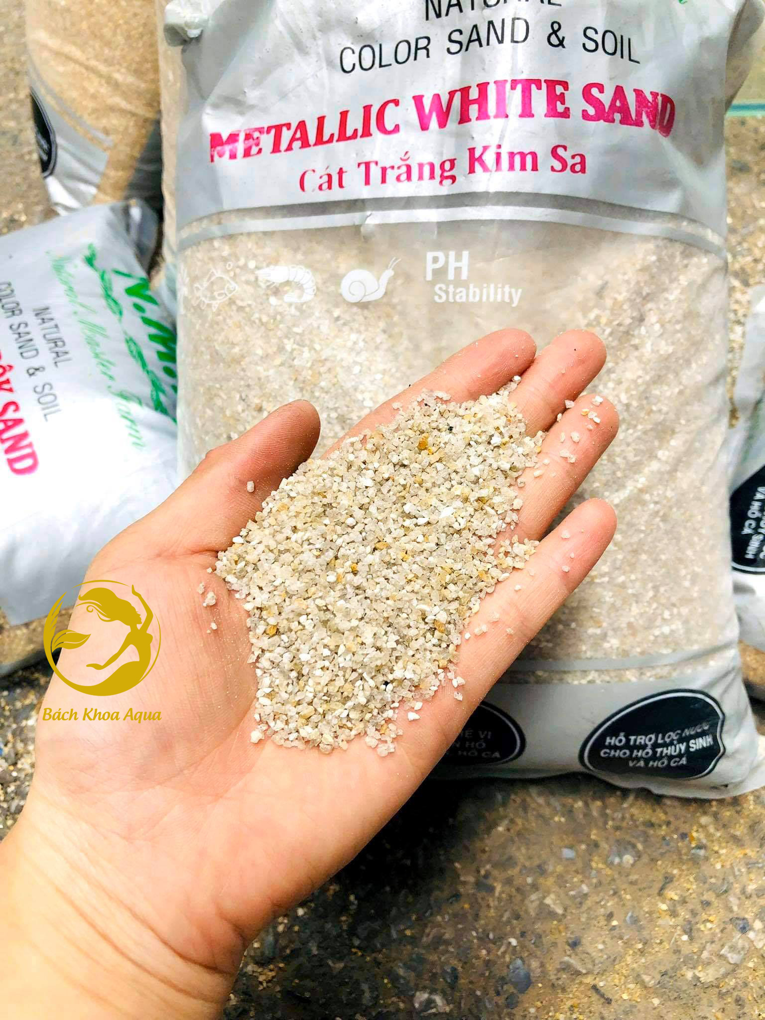 ( N.M.F ) Cát Trắng Kim Sa