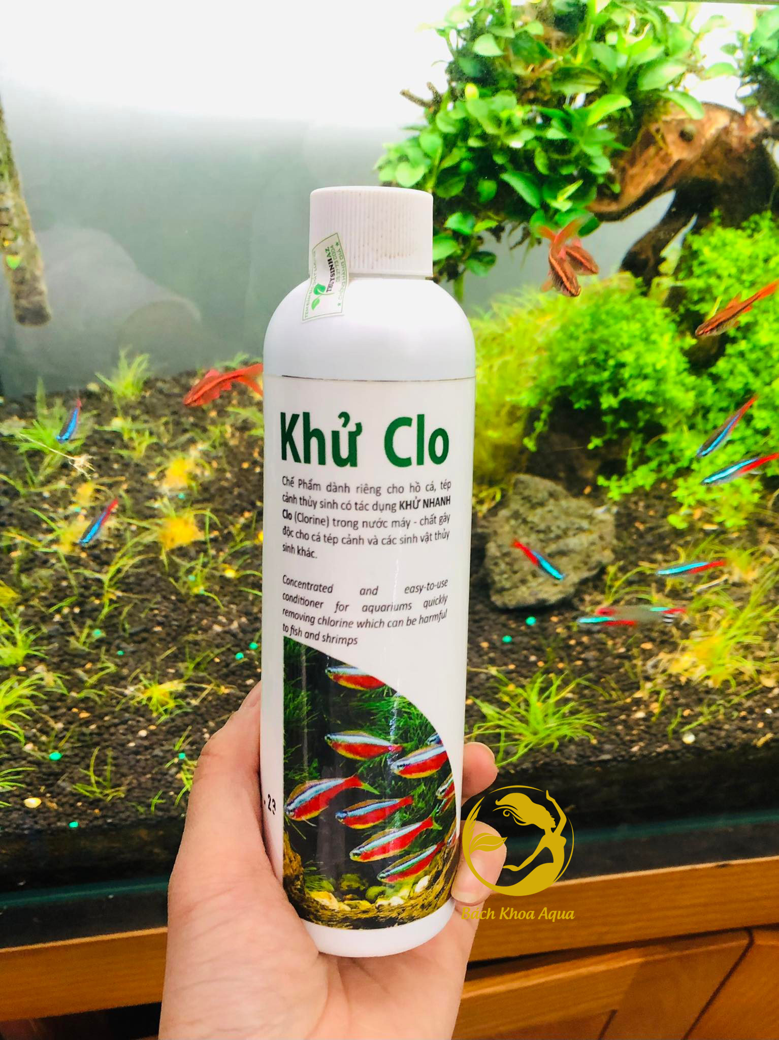 Dung dịch khử Clo trong nước cho hồ cá