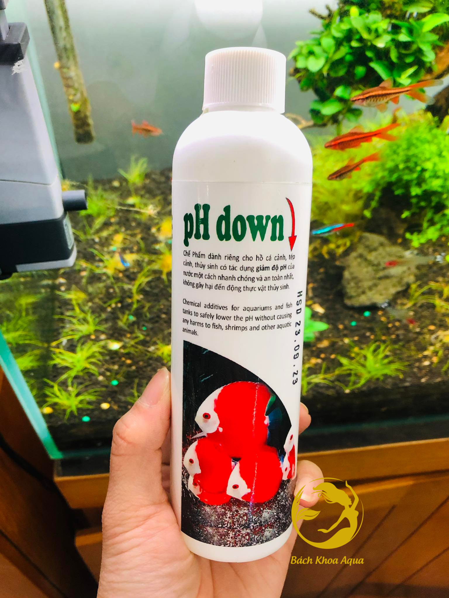 Dung dịch giảm Ph down cho hồ cá thủy sinh