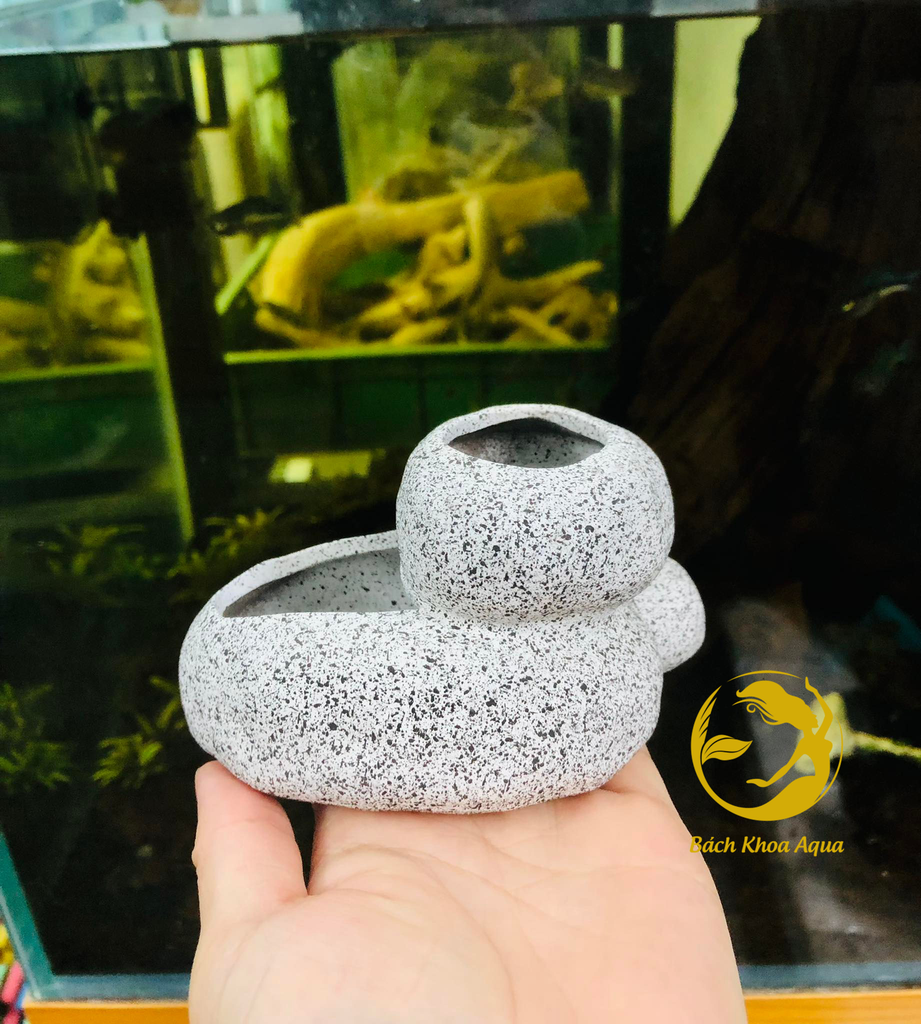 Gốm trồng cây trang trí bể cá