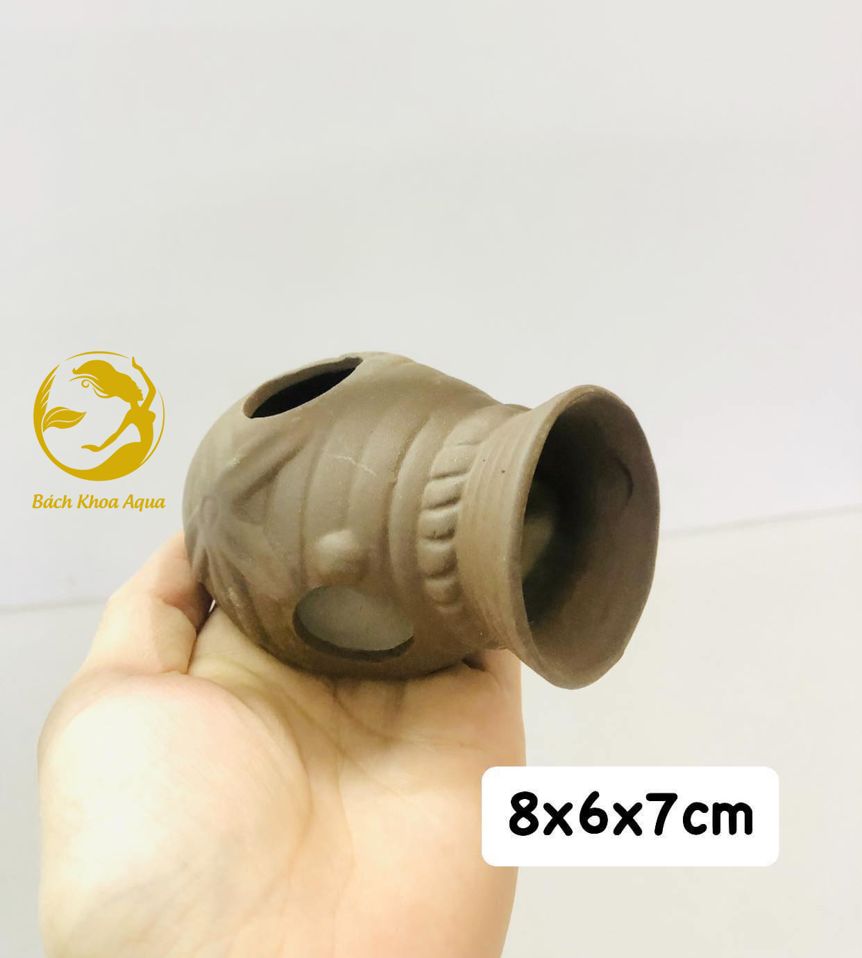 Bình gốm cổ chìm trang trí bể cá