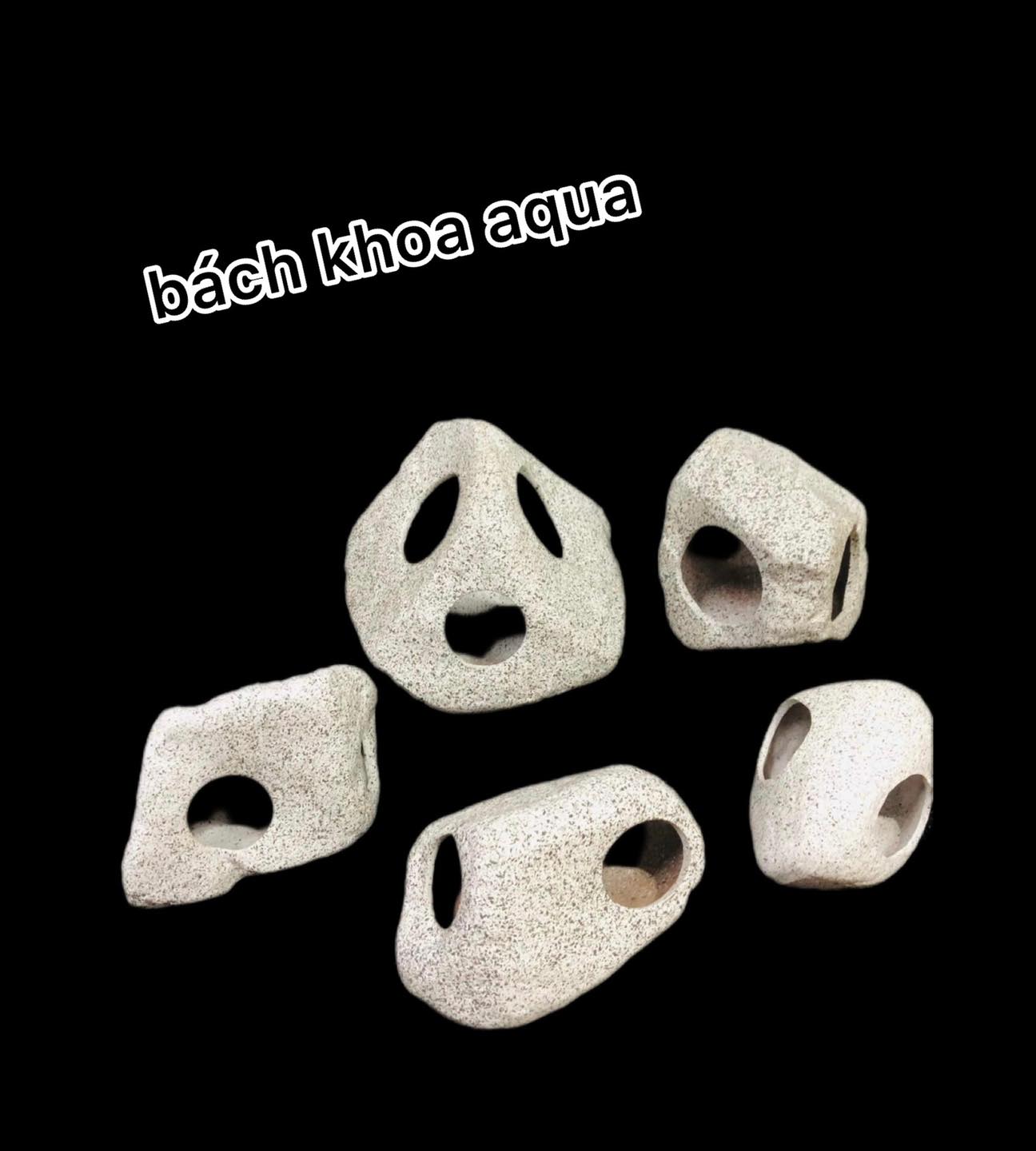 Hang trang trí bể cá đa dạng