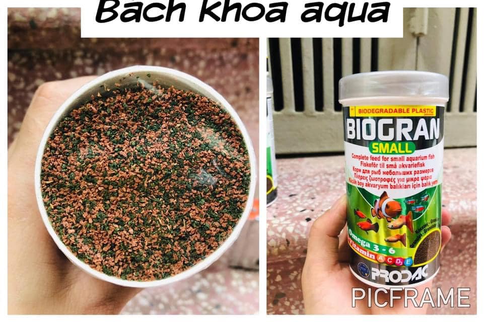 Thức ăn cho cá Prodac ( Italia) - BIOGRAN SMALL 100ML/250ML