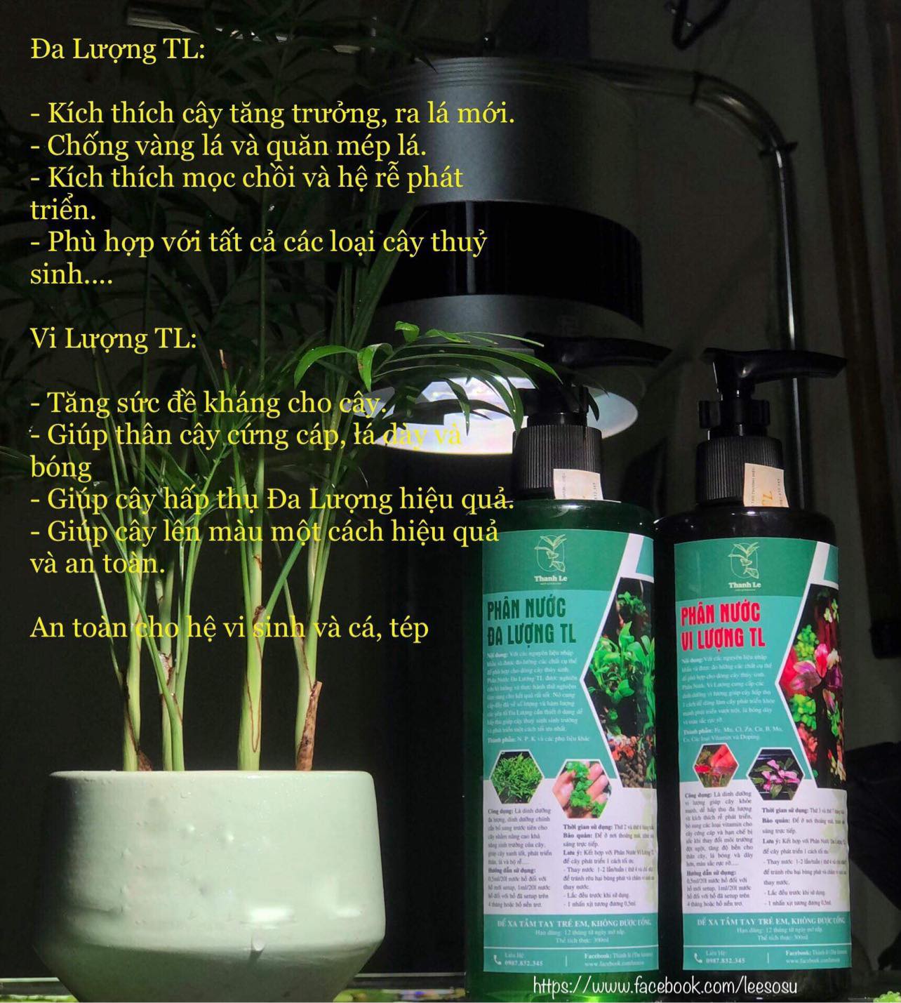 Bộ phân nước Đa Vi lượng TL