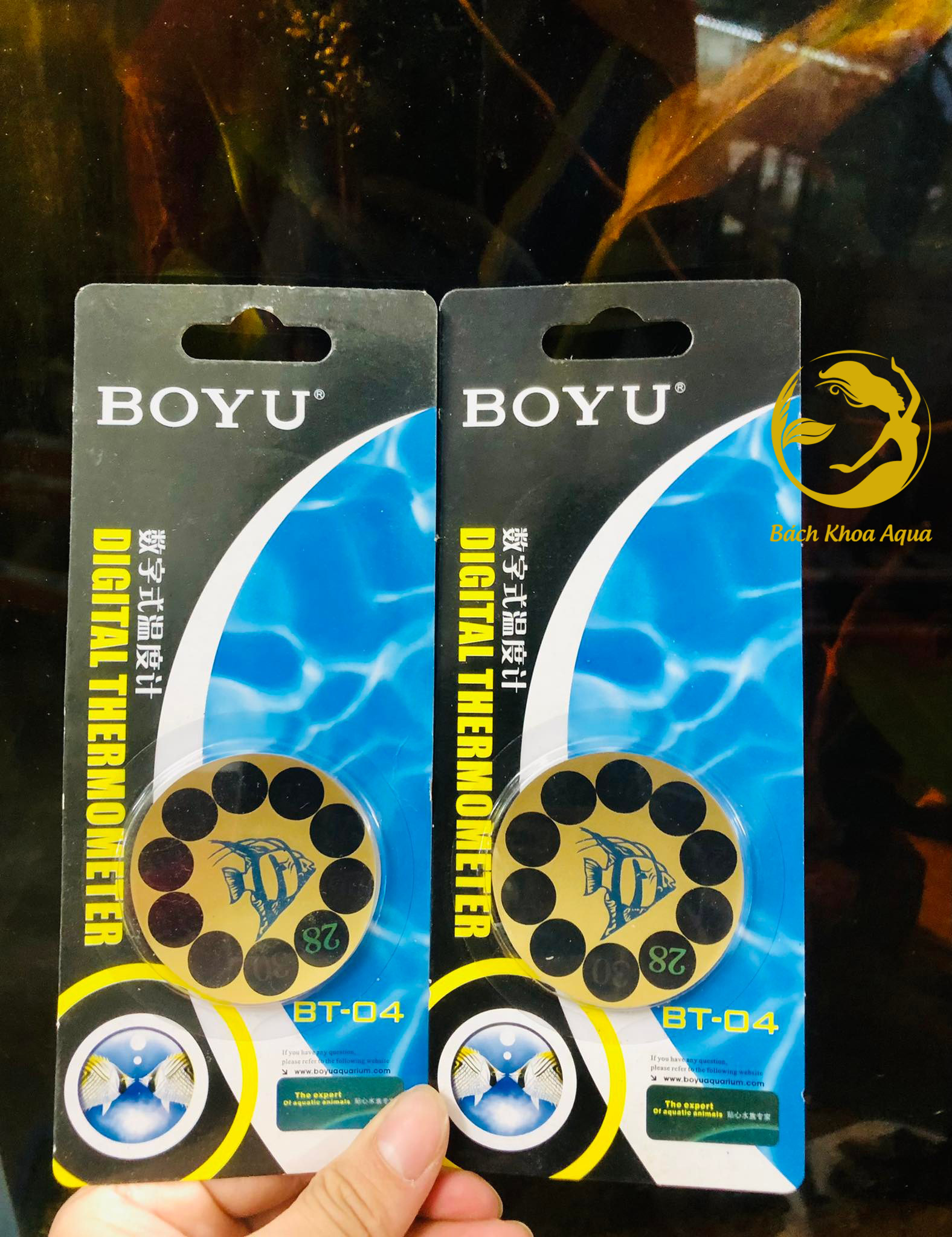 Nhiệt kế Boyu BT-04