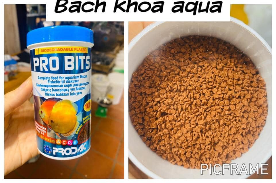 Thức ăn cá đĩa Prodac ( Italia) - PRO BITS 250ml