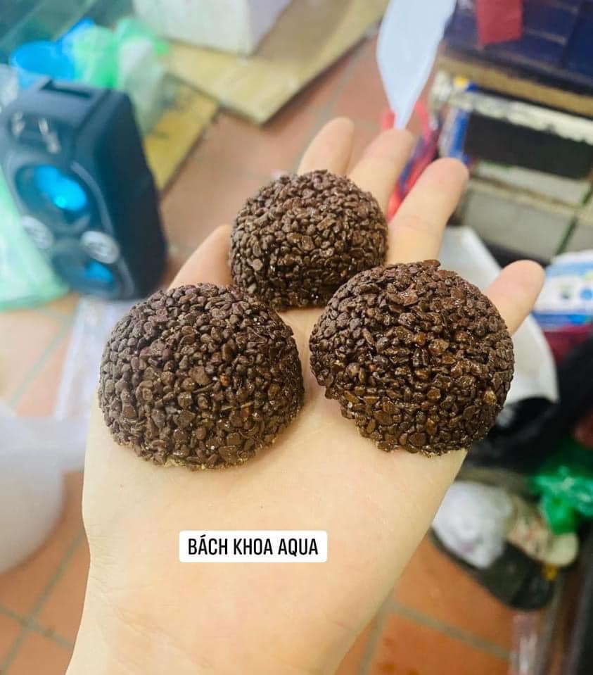 Giá thể cầu nham thạch 6cm