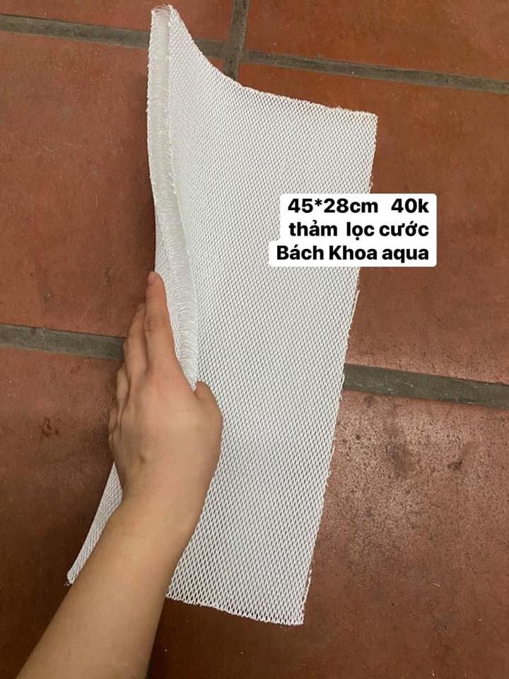 Thảm lọc cước