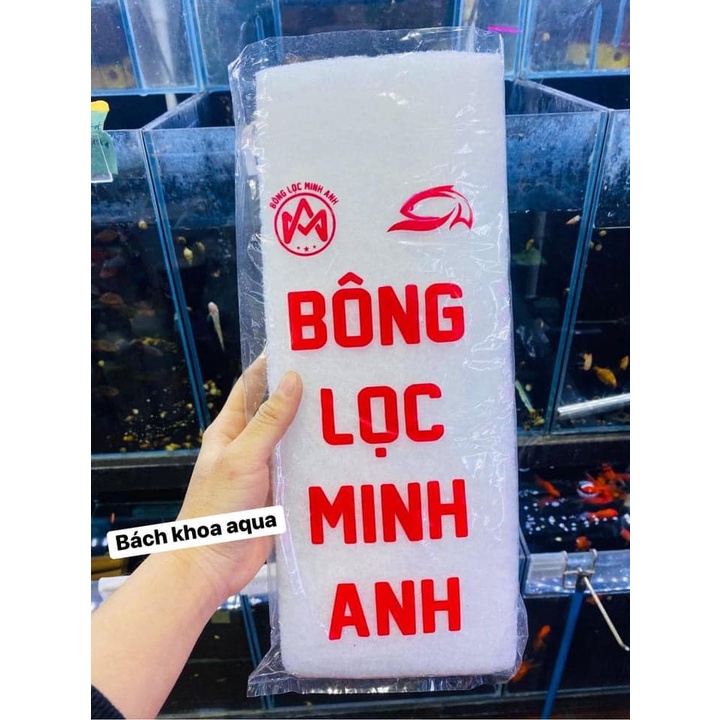 Bông lọc miếng
