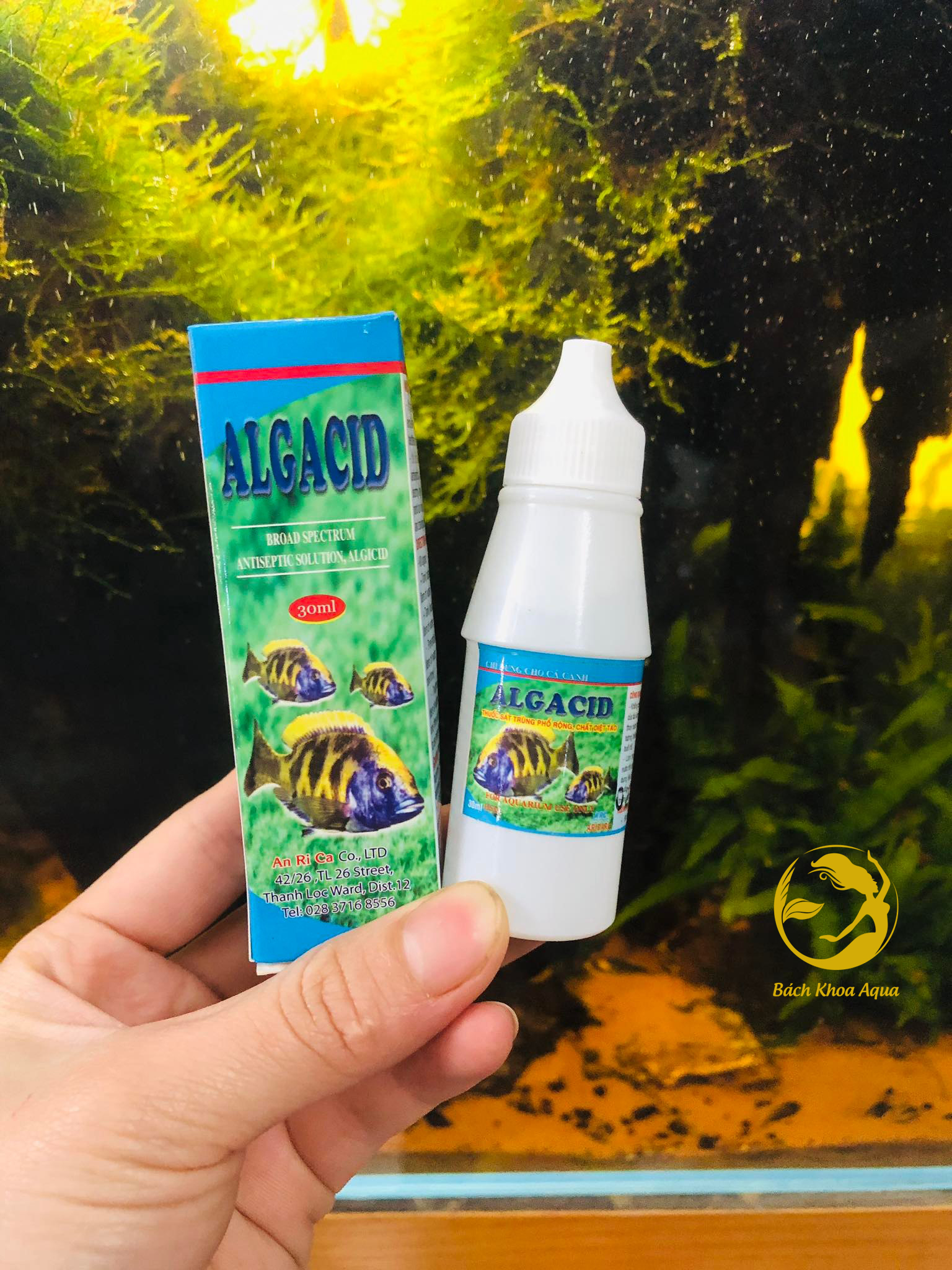 Sát trùng phổ rộng cho bể cá Algacid - 30ml