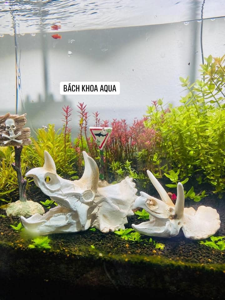 Mô hình đầu tê giác 3 sừng trang trí bể cá