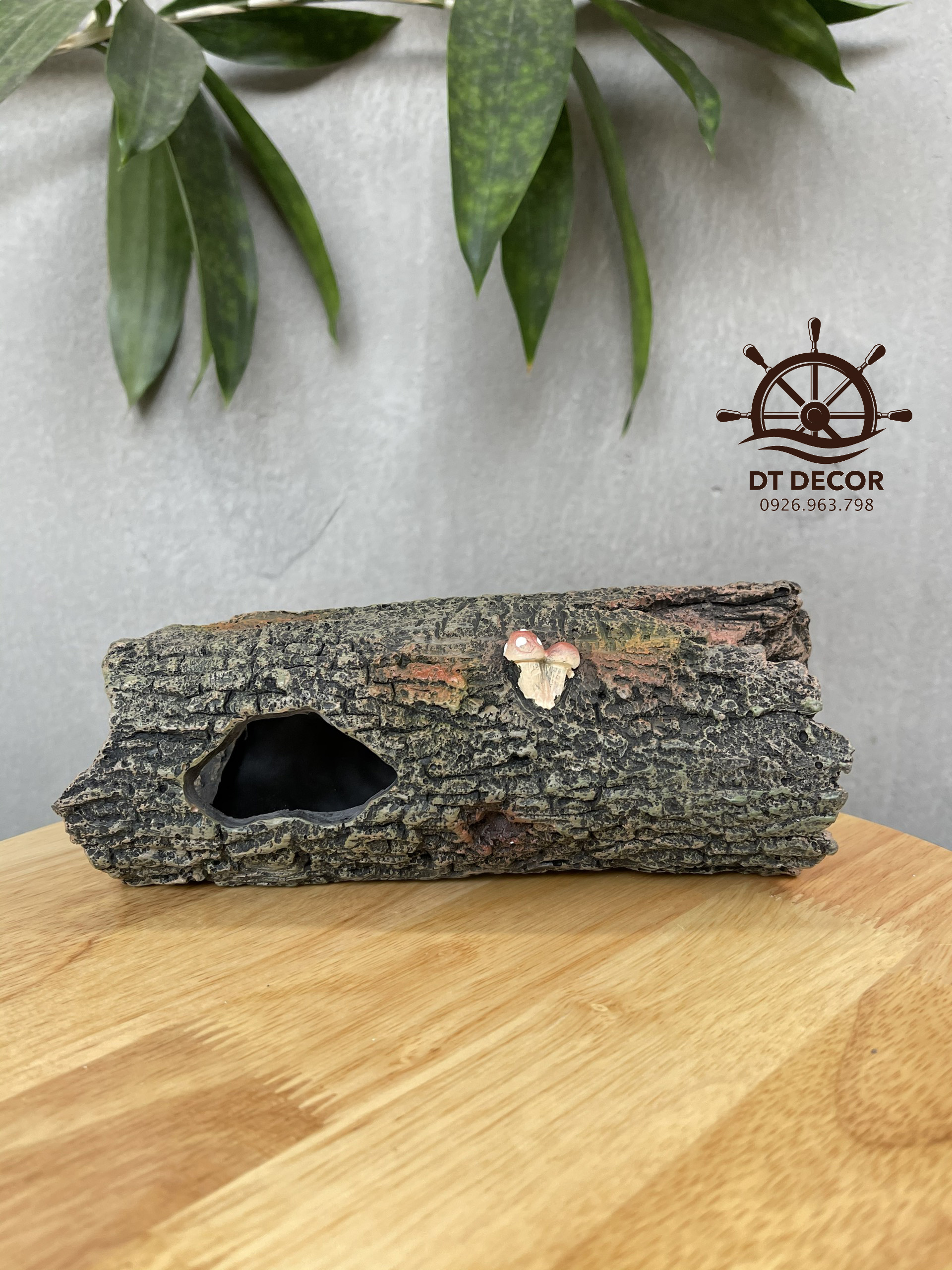 Thân cây gỗ mọc nấm