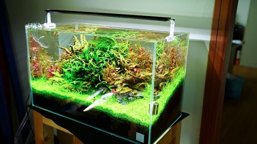 Đèn LED Chihiros A- Version 2 (Điều chỉnh qua app)
