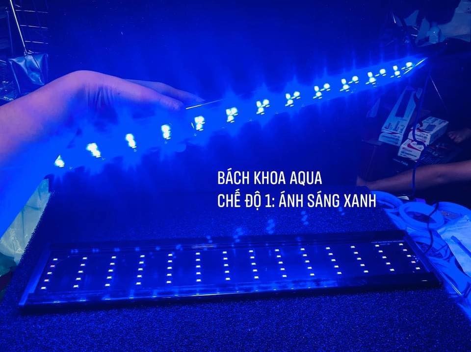 Led Quan Long 5 Hàng Siêu Sáng Đổi Màu - Ánh sáng Xanh