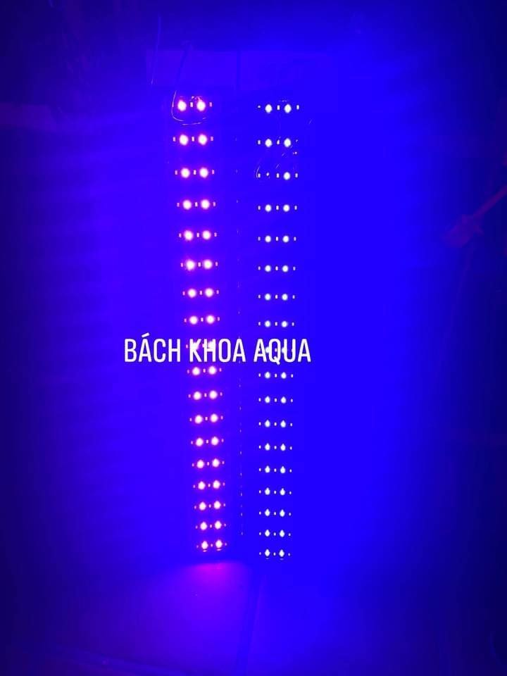 Led Quan Long 5 Hàng Siêu Sáng Đổi Màu - Ánh sáng Hồng