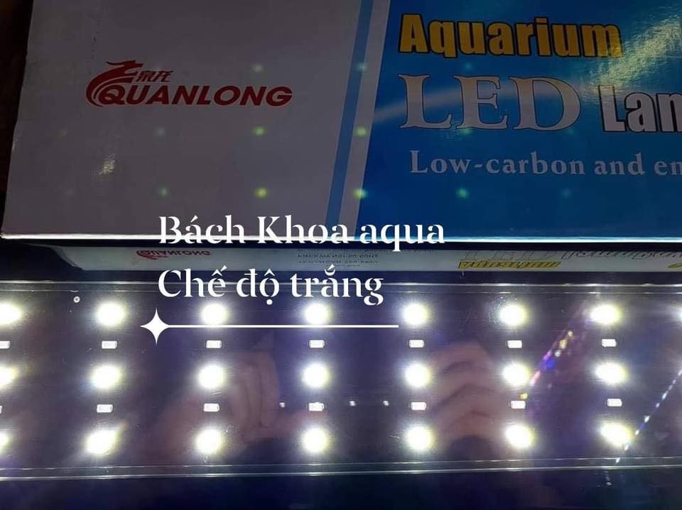Led Quan Long 5 Hàng Siêu Sáng Đổi Màu - Ánh sáng Xanh
