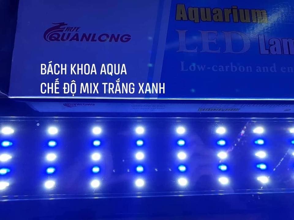 Led Quan Long 5 Hàng Siêu Sáng Đổi Màu - Ánh sáng Xanh