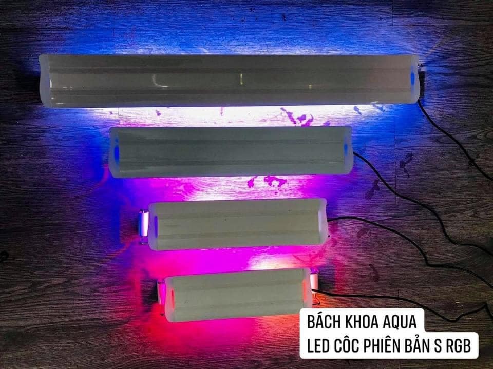 Đèn Led COCO ánh sáng RGB