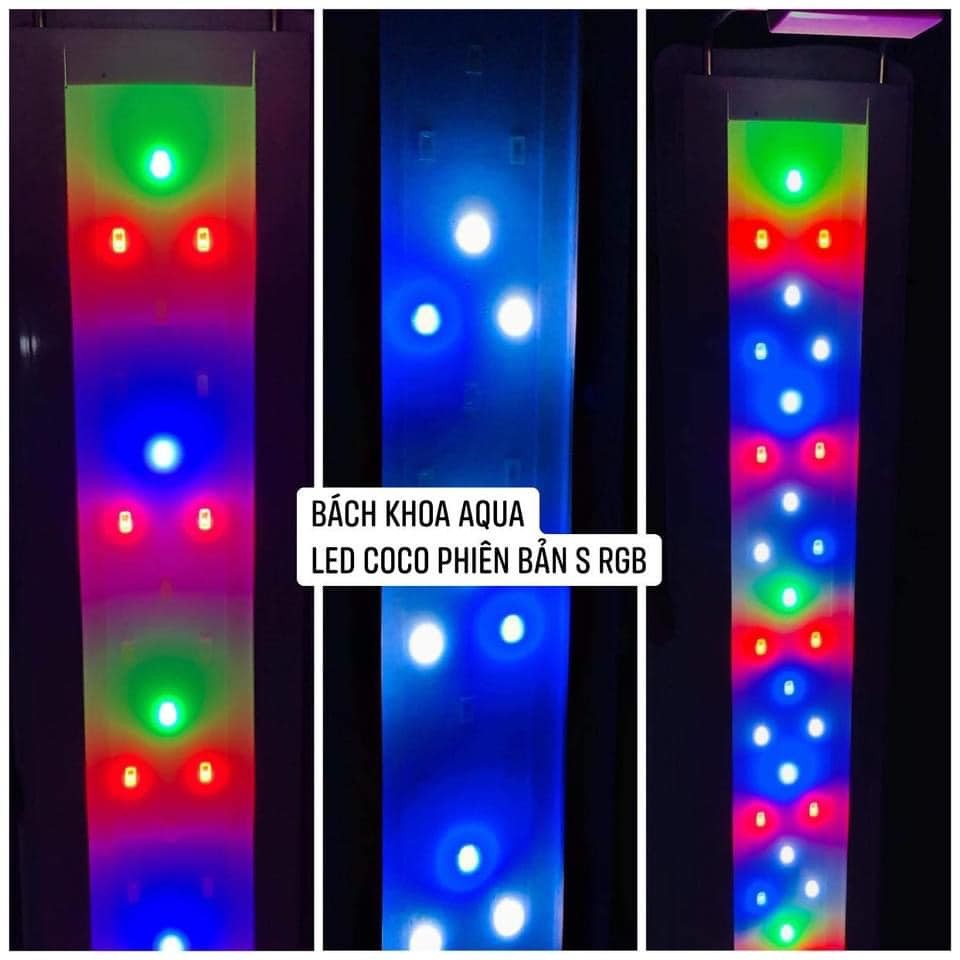 Đèn Led COCO ánh sáng RGB