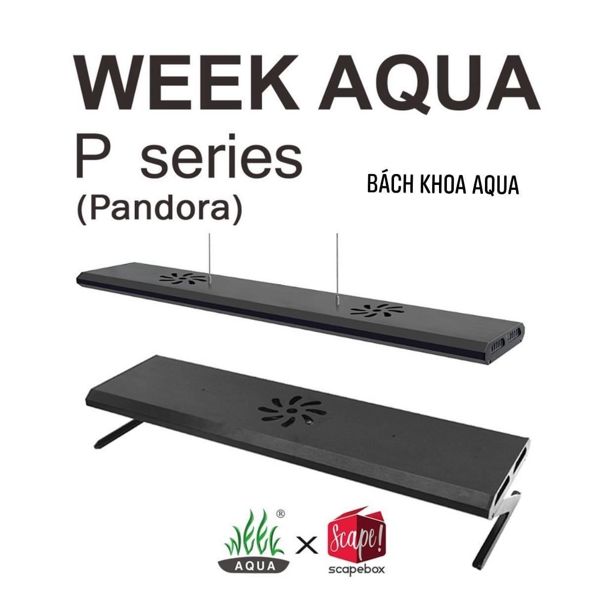 Led Week Aqua phiên bản mới P Pro RGB - Series
