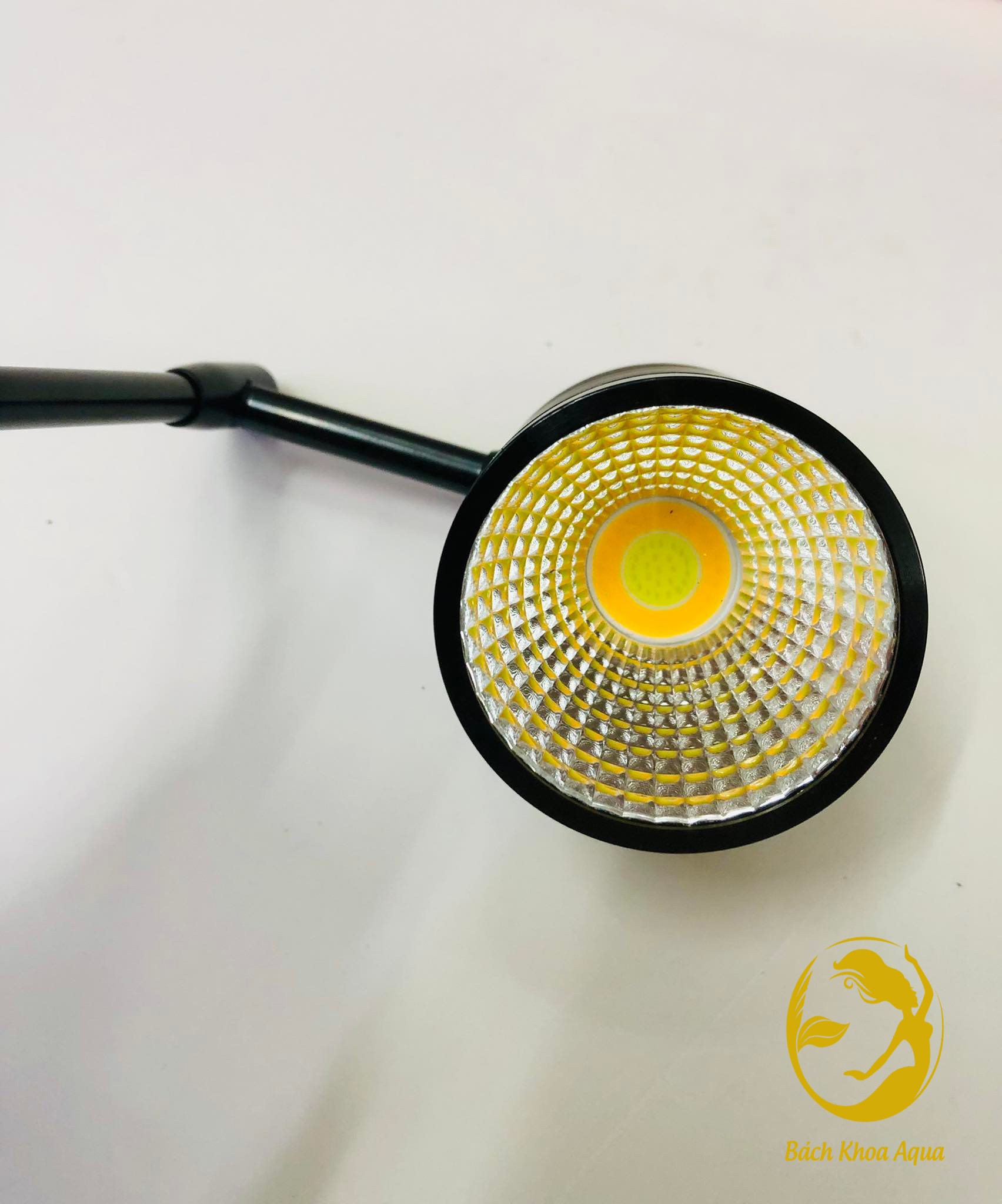 Đèn Led rọi Kaokui 3 chế độ màu 10w