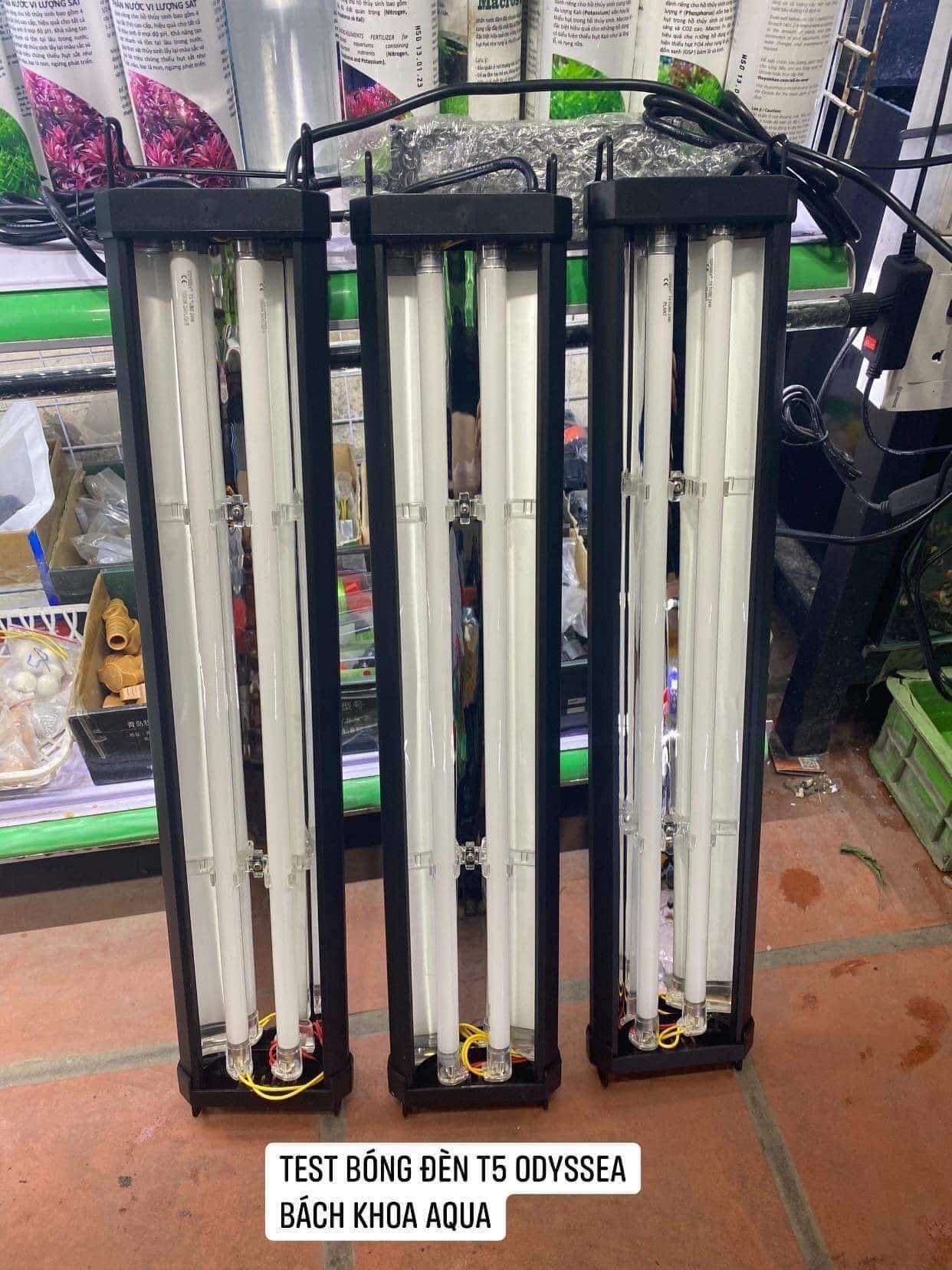 Đèn Bóng T5HO Dual Odyssea 60cm-90cm-120cm-150cm