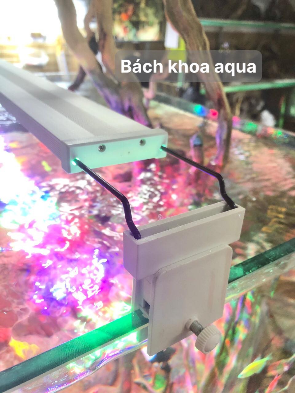Đèn Led Fort Di - RGB kích màu siêu sáng