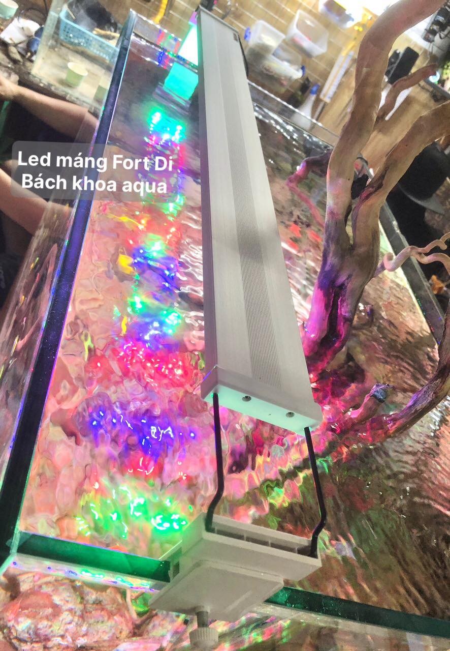 Đèn Led Fort Di - RGB kích màu siêu sáng