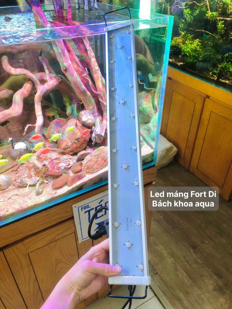 Đèn Led Fort Di - RGB kích màu siêu sáng