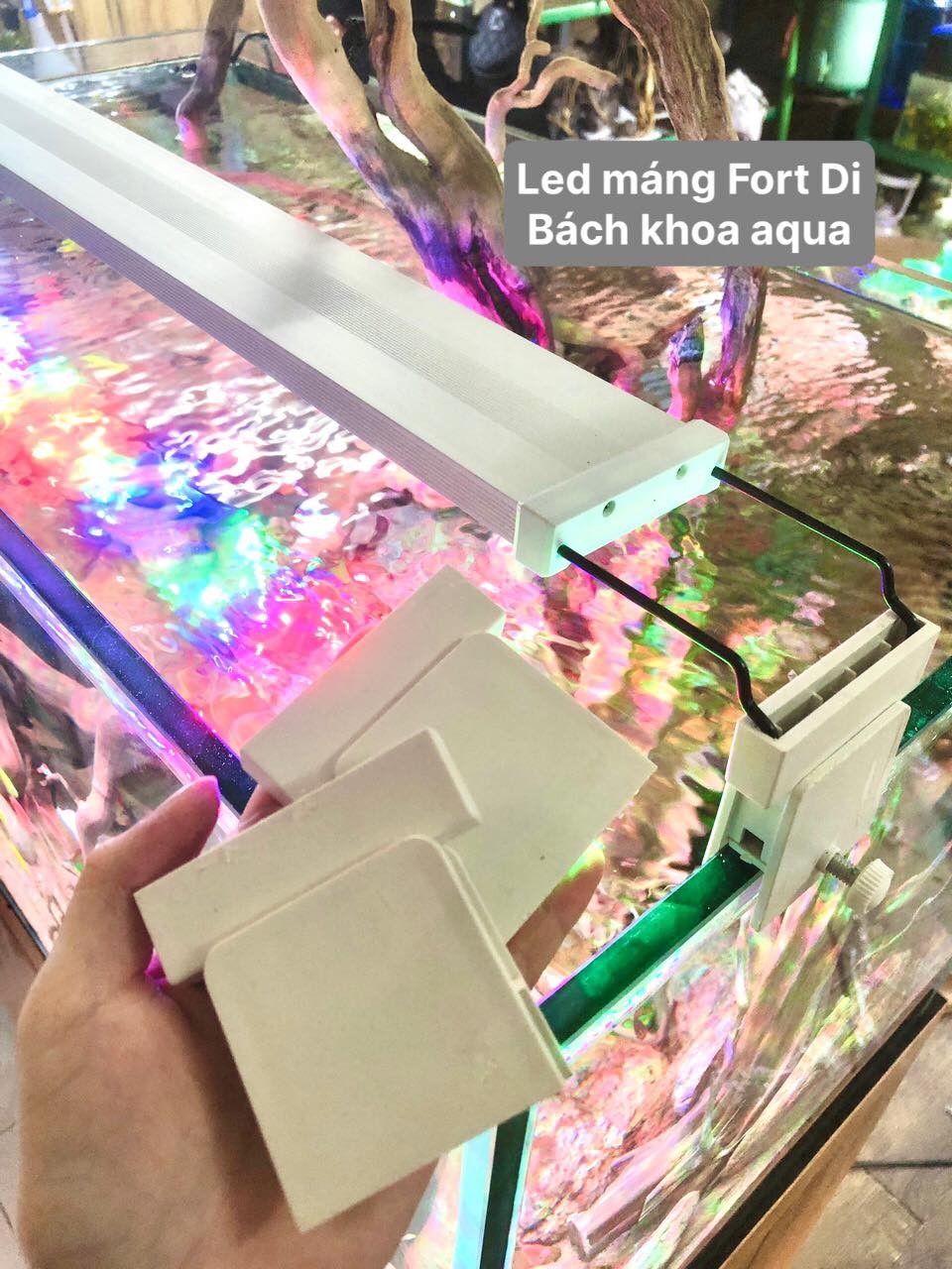 Đèn Led Fort Di - RGB kích màu siêu sáng