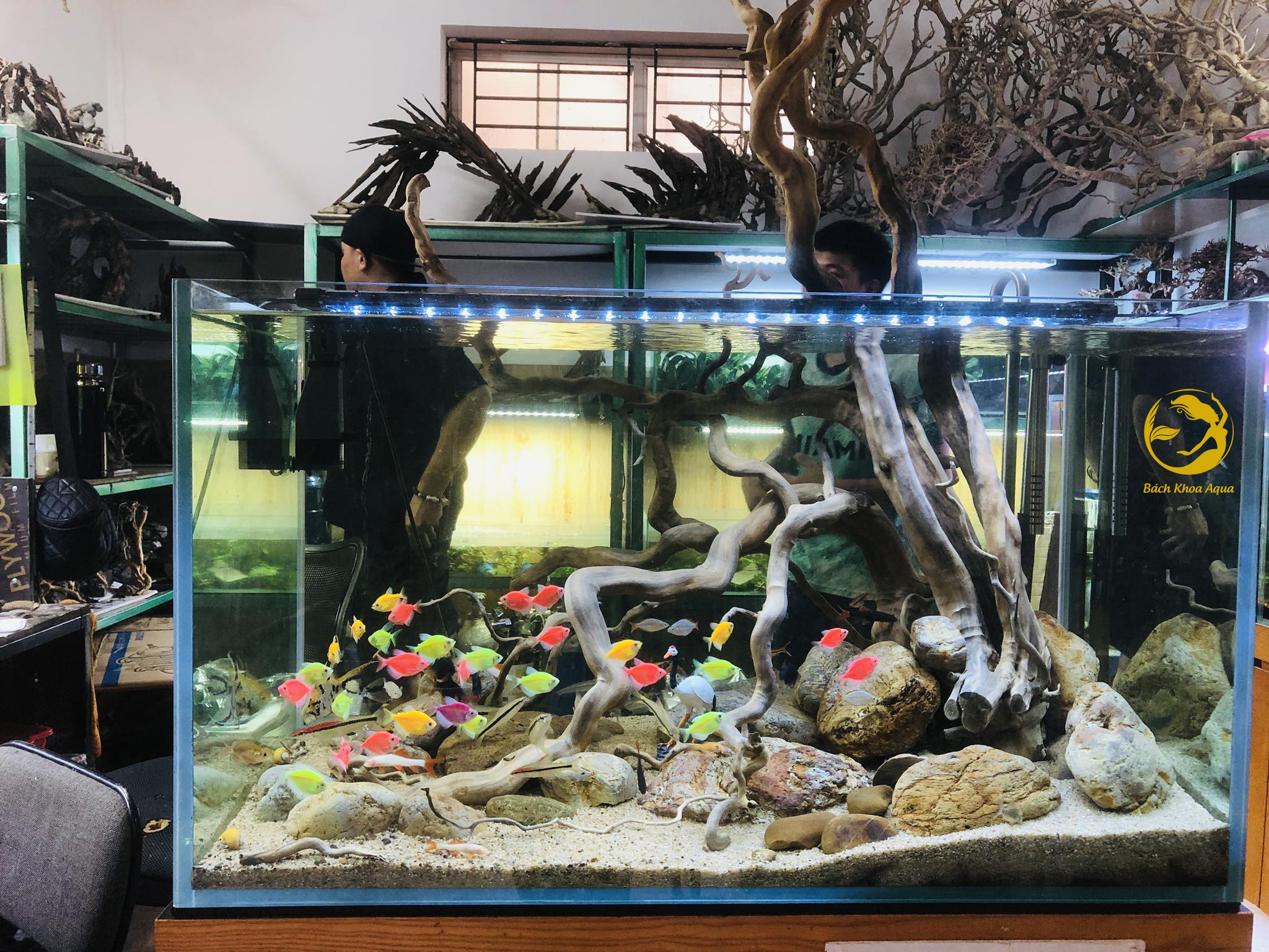 Đèn Led Heeba Mix Màu 40cm-60cm-80cm-100cm