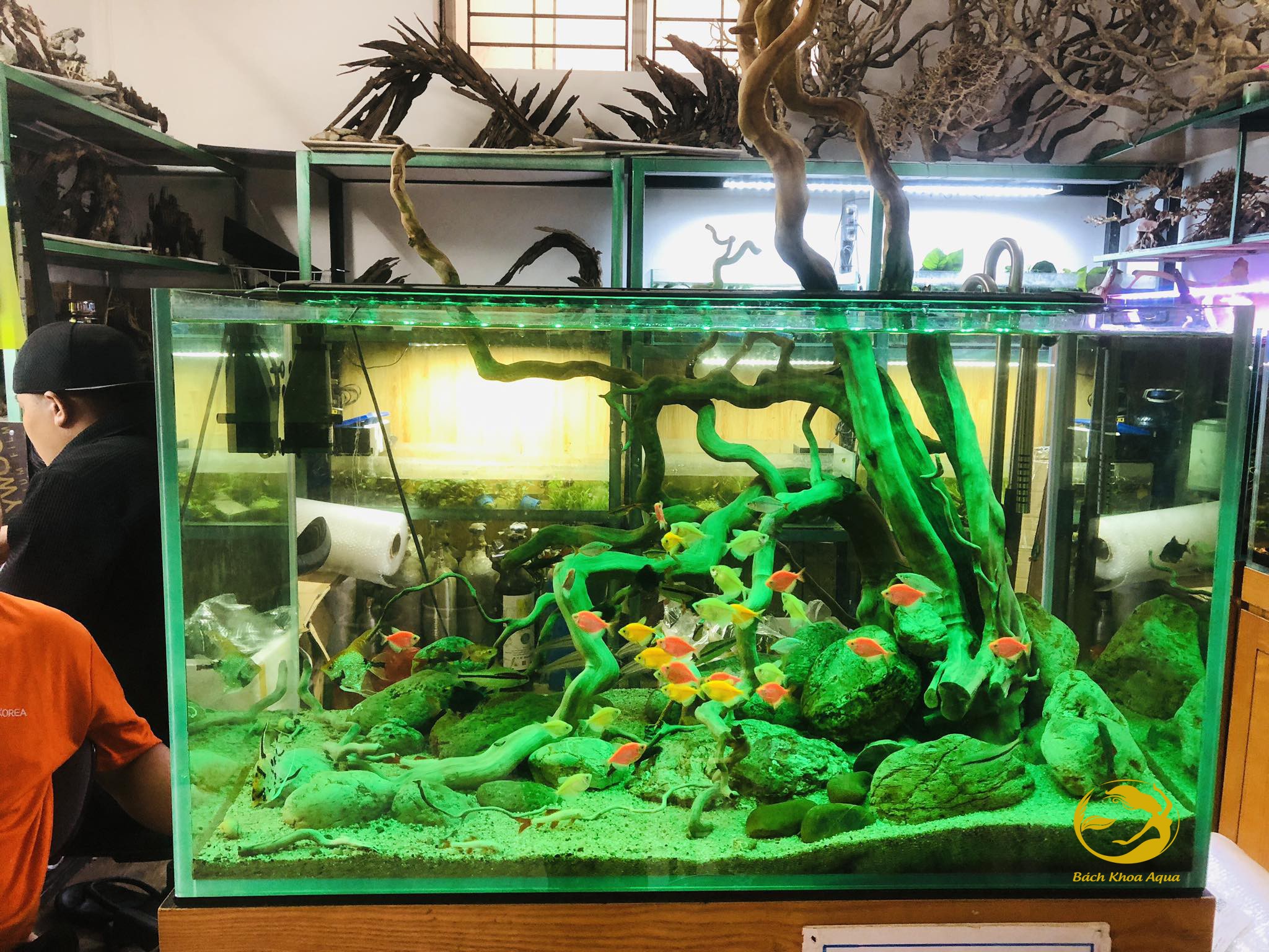Đèn Led Heeba Mix Màu 40cm-60cm-80cm-100cm