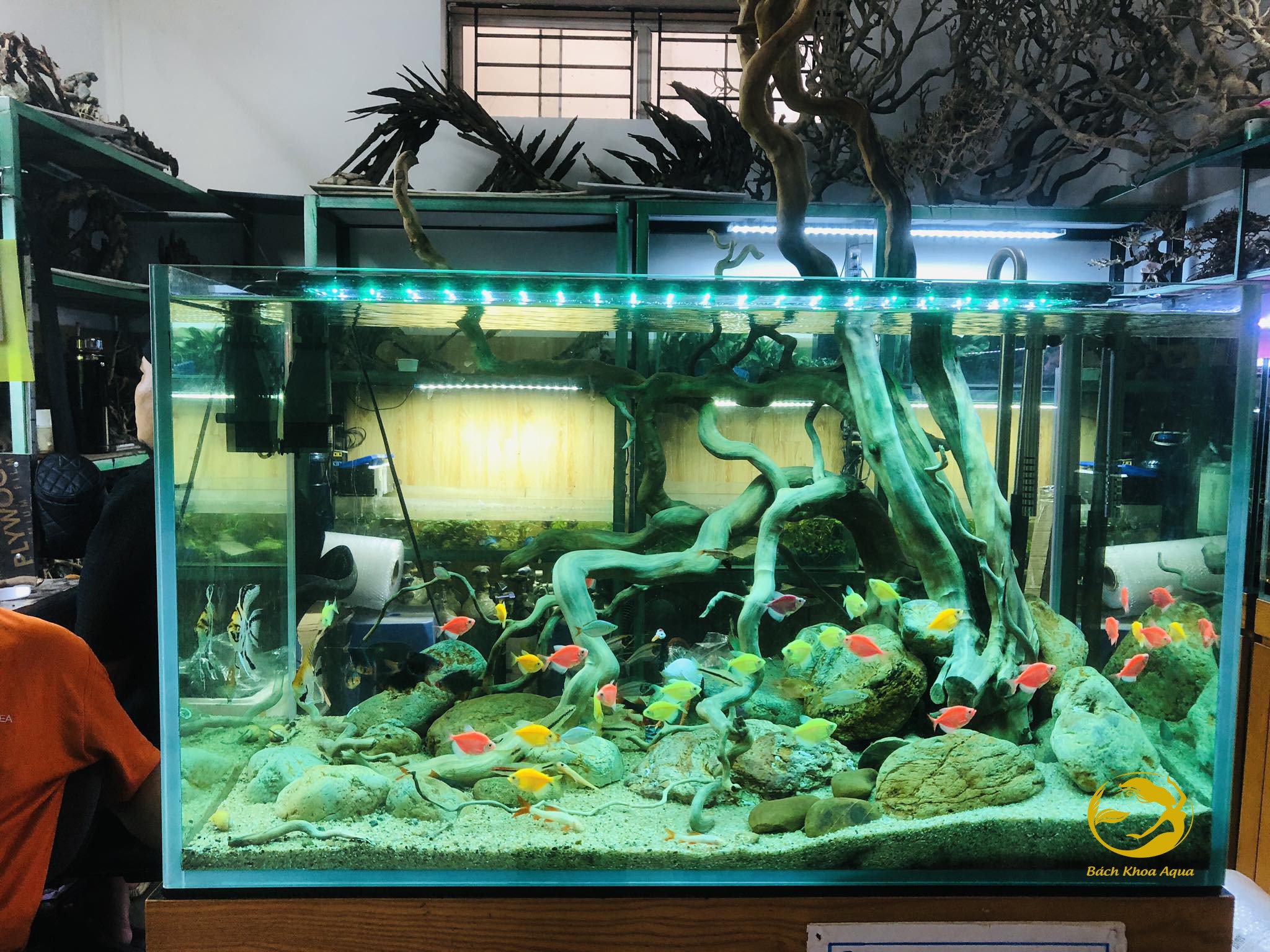 Đèn Led Heeba Mix Màu 40cm-60cm-80cm-100cm