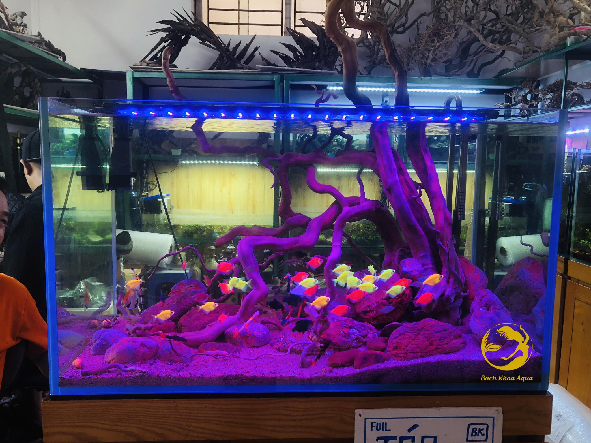 Đèn Led Heeba Mix Màu 40cm-60cm-80cm-100cm