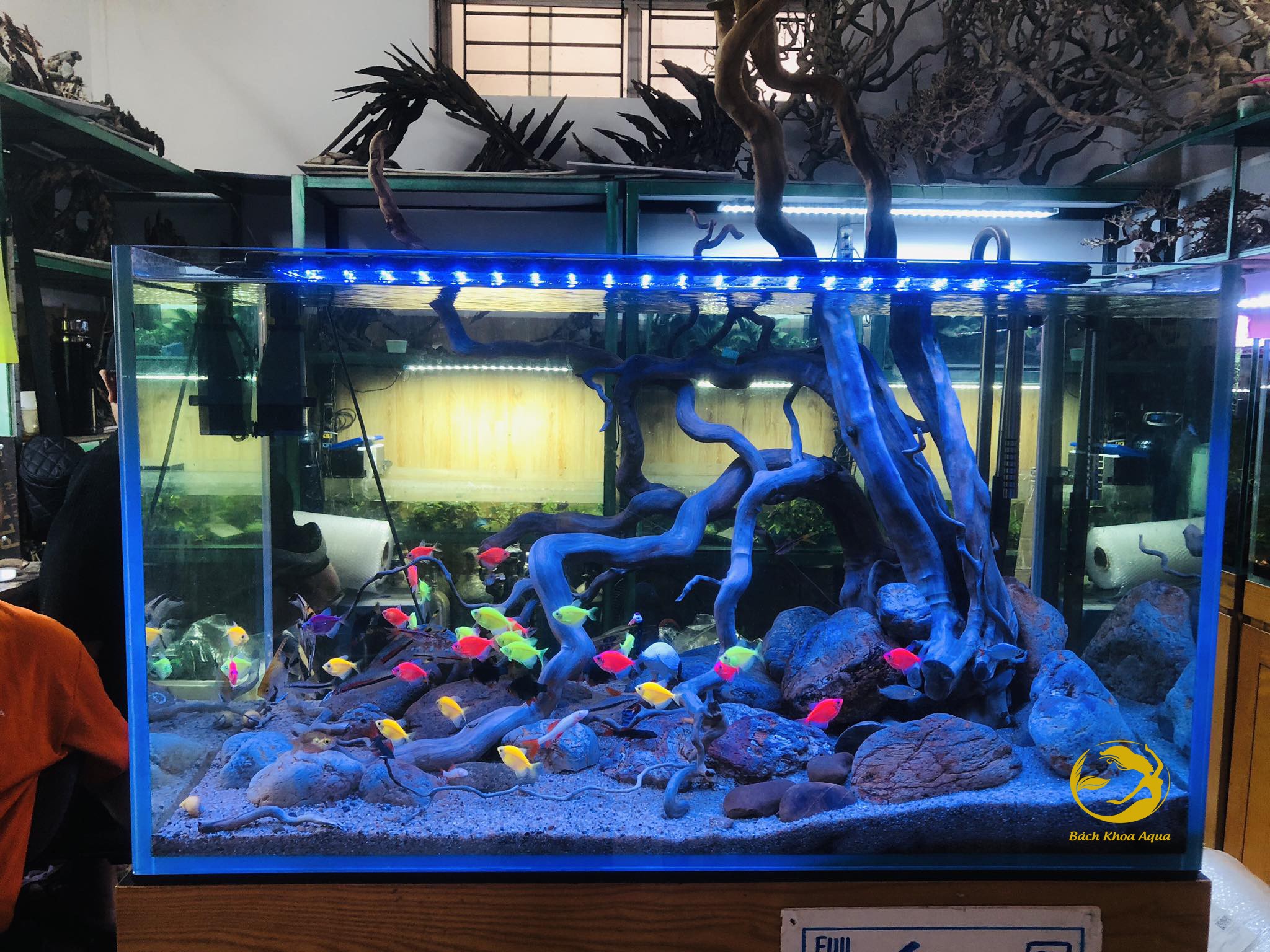 Đèn Led Heeba Mix Màu 40cm-60cm-80cm-100cm