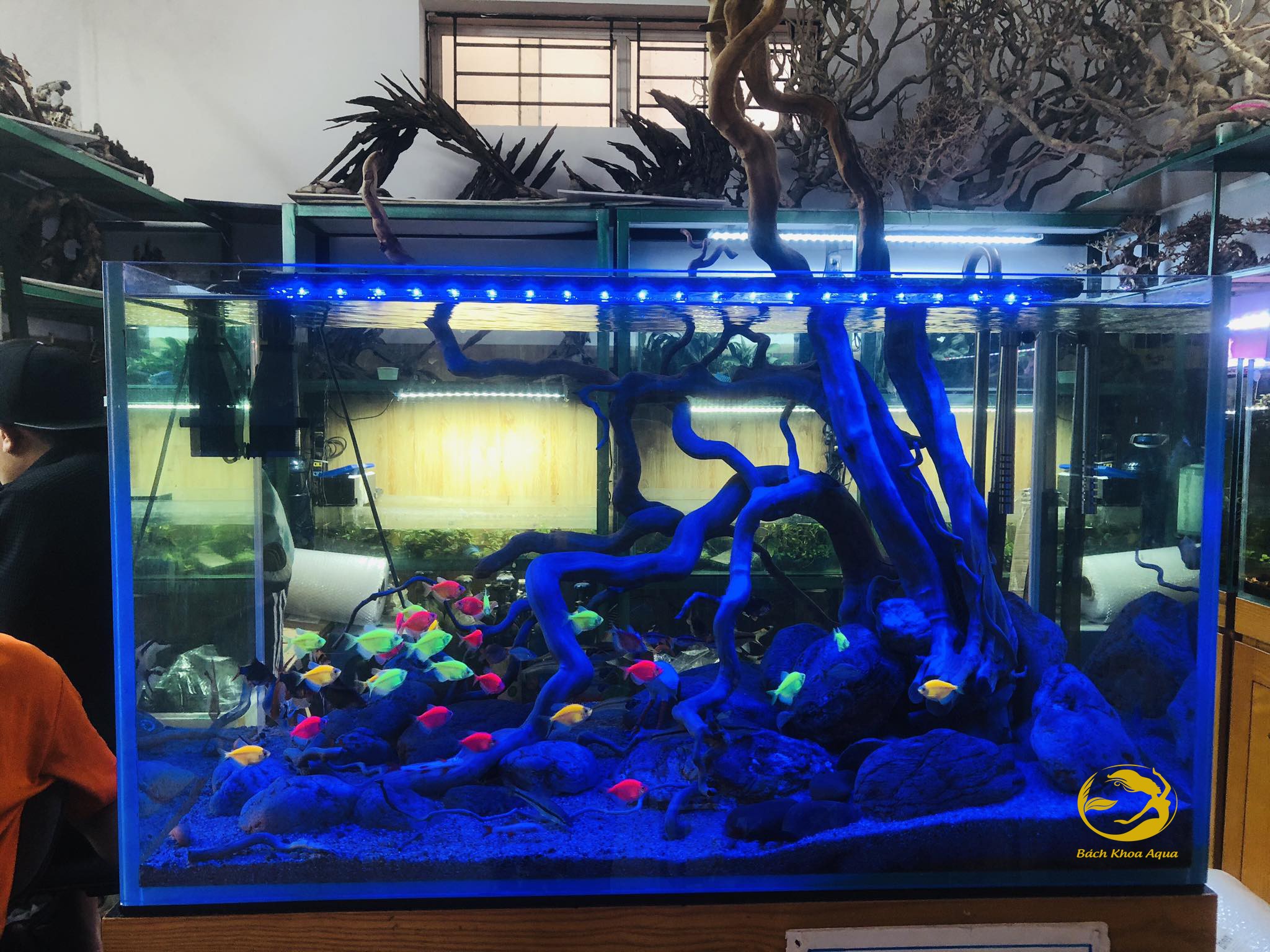 Đèn Led Heeba Mix Màu 40cm-60cm-80cm-100cm