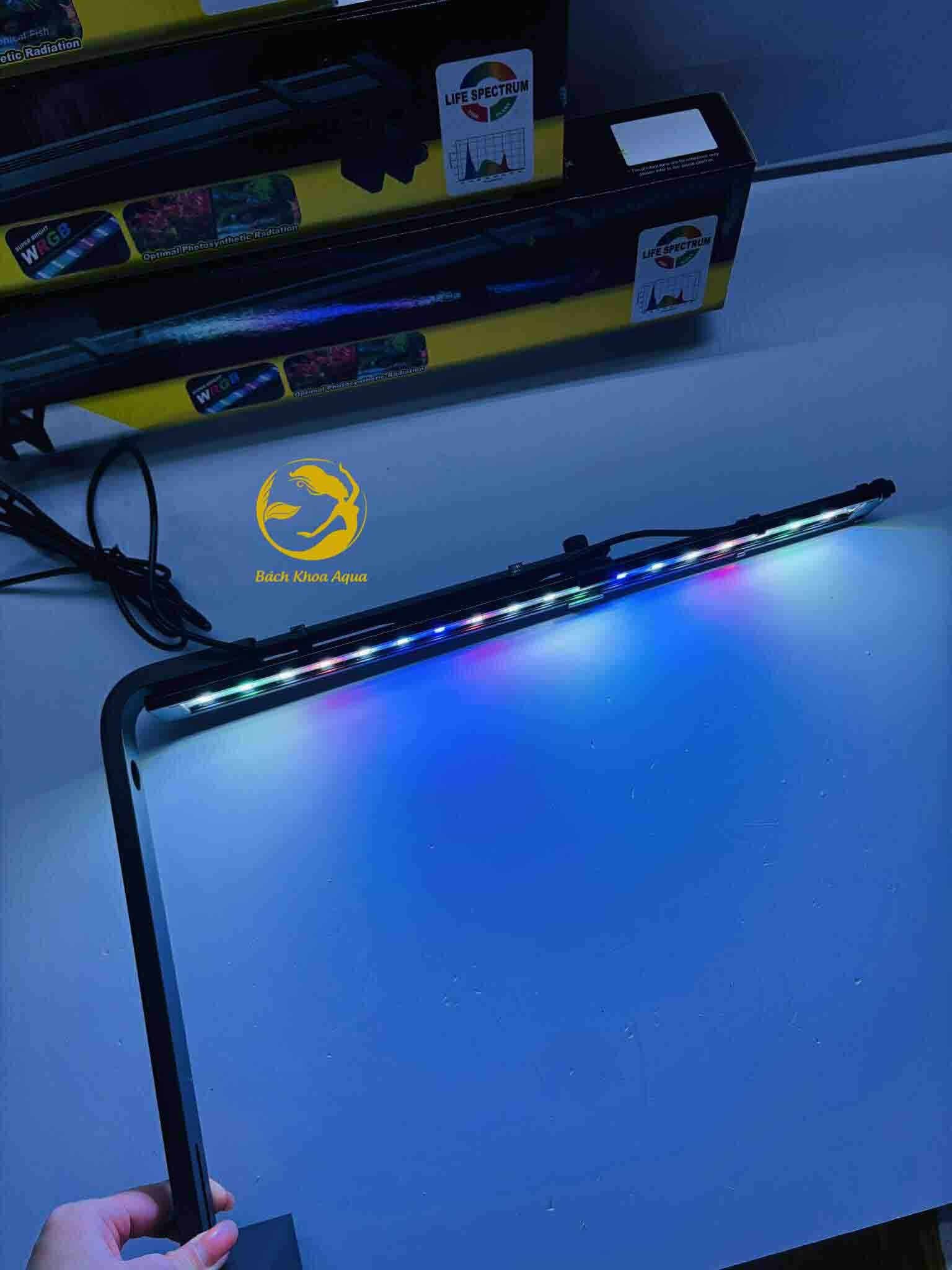 Đèn led kẹp COCO xoay  2 kiểu 360 độ AL-38 / AL-48 / AL-58 3 chế độ màu cho bể cá
